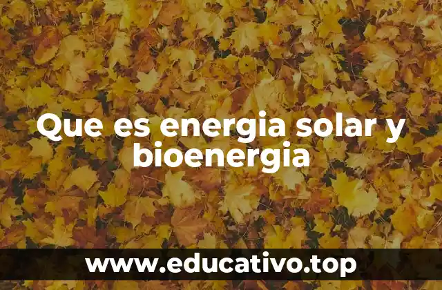 Que es energia solar y bioenergia