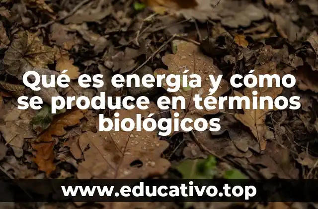 Qué es energía y cómo se produce en términos biológicos