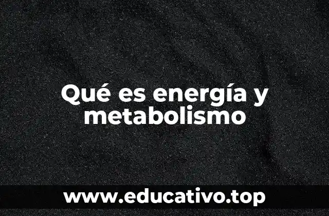 Qué es energía y metabolismo