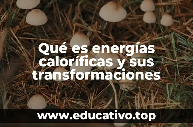 Qué es energías caloríficas y sus transformaciones