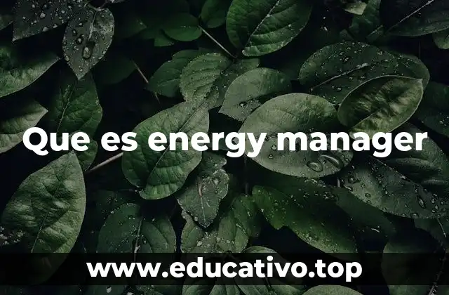 Que es energy manager