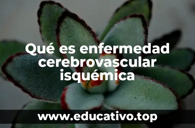 Qué es enfermedad cerebrovascular isquémica