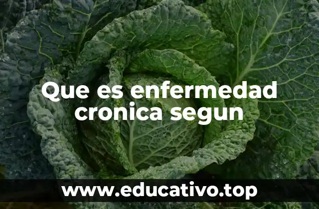 Que es enfermedad cronica segun