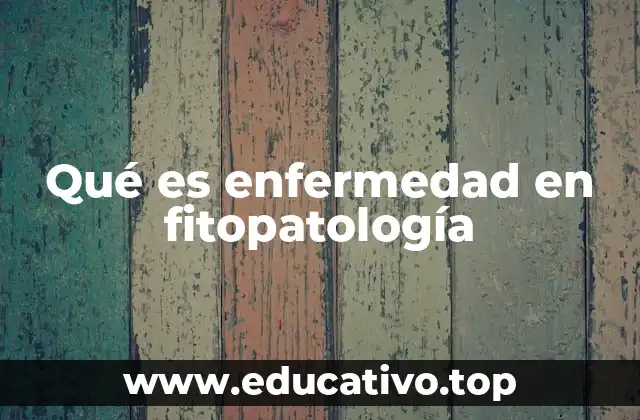 Causas y factores que contribuyen a las enfermedades vegetales