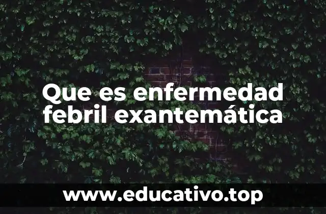 Que es enfermedad febril exantemática