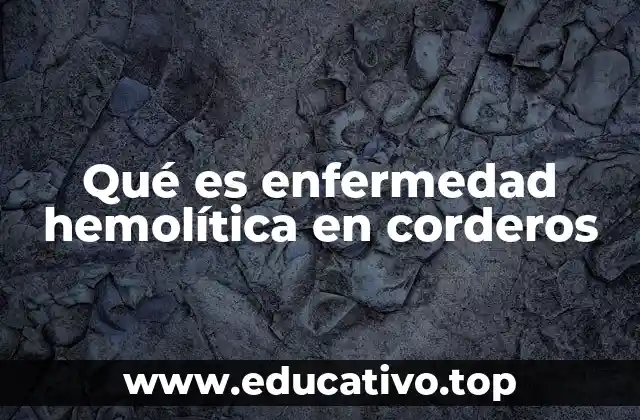 Qué es enfermedad hemolítica en corderos