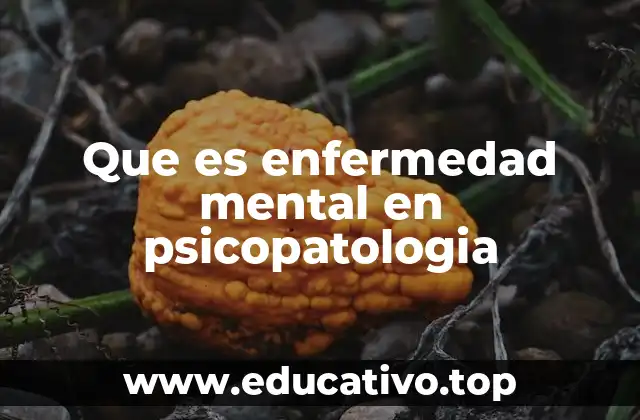 Que es enfermedad mental en psicopatologia
