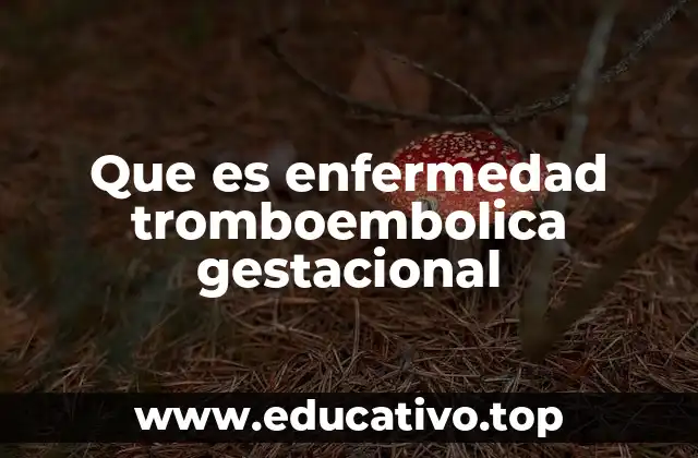 Que es enfermedad tromboembolica gestacional