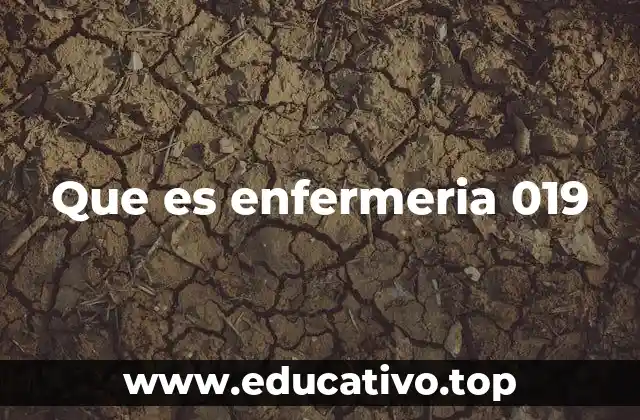 Que es enfermeria 019