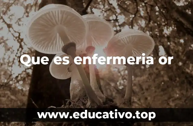 Que es enfermeria or