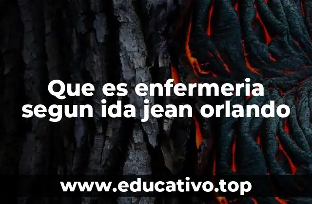 Que es enfermeria segun ida jean orlando