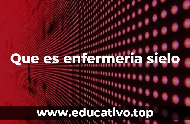 Que es enfermeria sielo