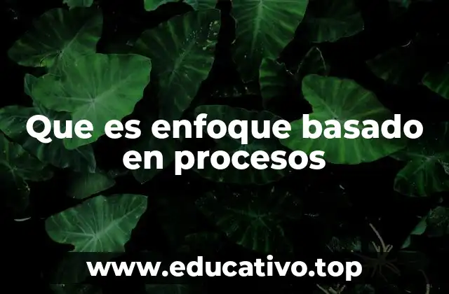 Que es enfoque basado en procesos