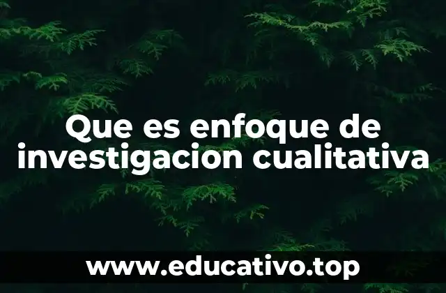 Que es enfoque de investigacion cualitativa