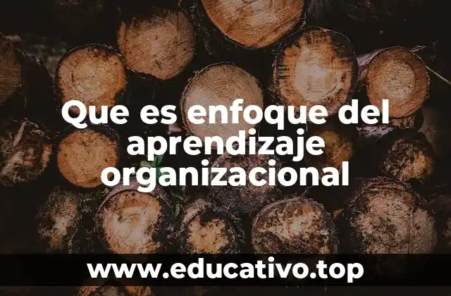 Que es enfoque del aprendizaje organizacional
