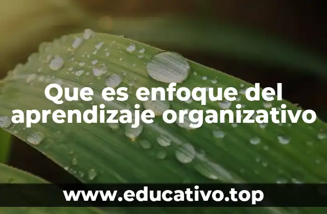 Que es enfoque del aprendizaje organizativo