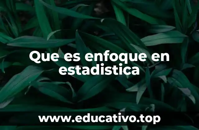 Que es enfoque en estadistica