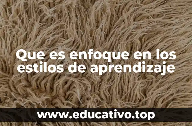 Que es enfoque en los estilos de aprendizaje