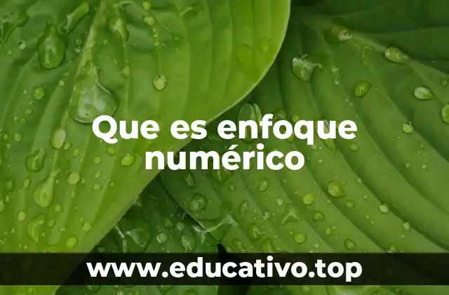 Que es enfoque numérico