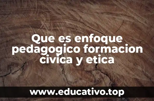 Que es enfoque pedagogico formacion civica y etica