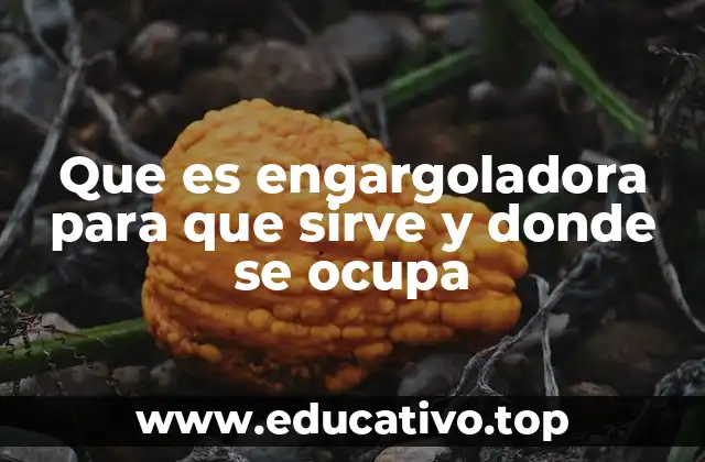 Que es engargoladora para que sirve y donde se ocupa