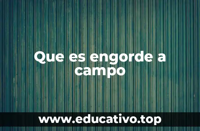 Que es engorde a campo