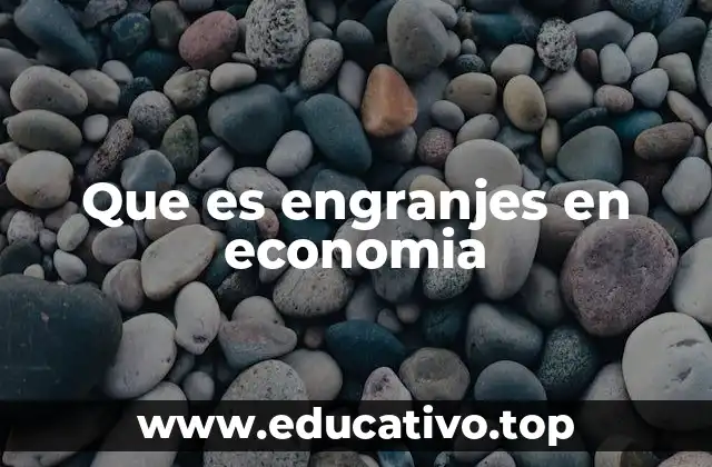 Que es engranjes en economia