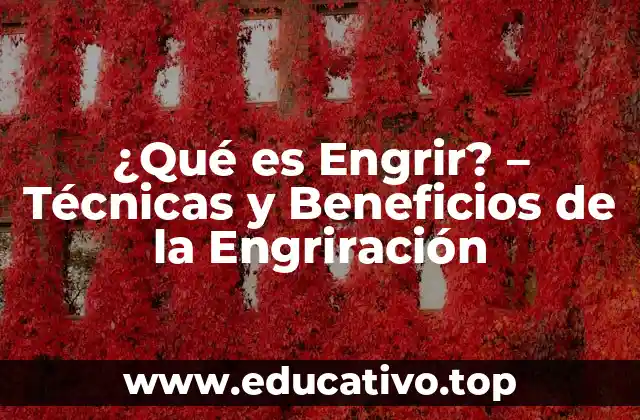 ¿Qué es Engrir? – Técnicas y Beneficios de la Engriración