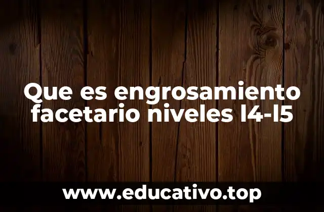 Las articulaciones facetarias y su papel en la columna lumbar