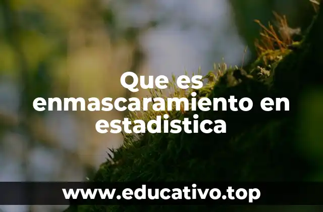 Que es enmascaramiento en estadistica