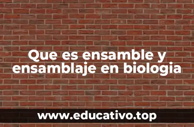 Que es ensamble y ensamblaje en biologia