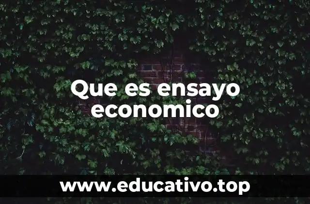 Que es ensayo economico