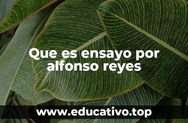 Que es ensayo por alfonso reyes