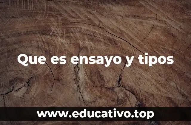 La importancia de estructurar correctamente un ensayo