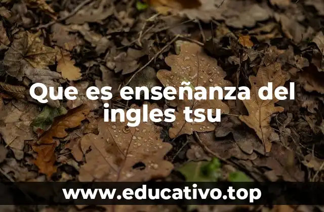 El papel de la tecnología en la formación de docentes de inglés