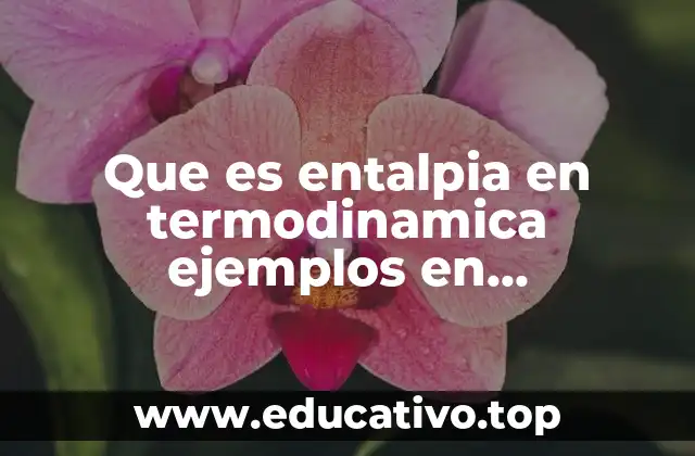 Que es entalpia en termodinamica ejemplos en mantenimiento