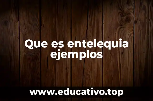 Que es entelequia ejemplos