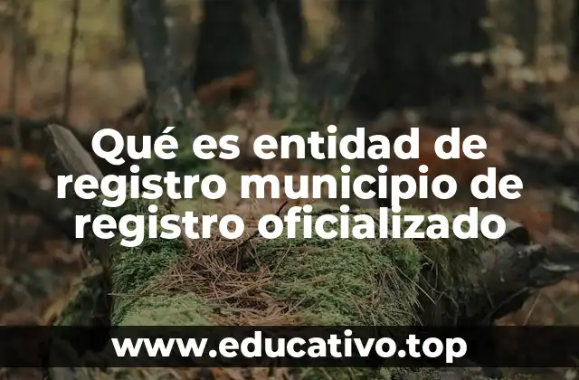 El papel de las entidades de registro municipal en el sistema legal