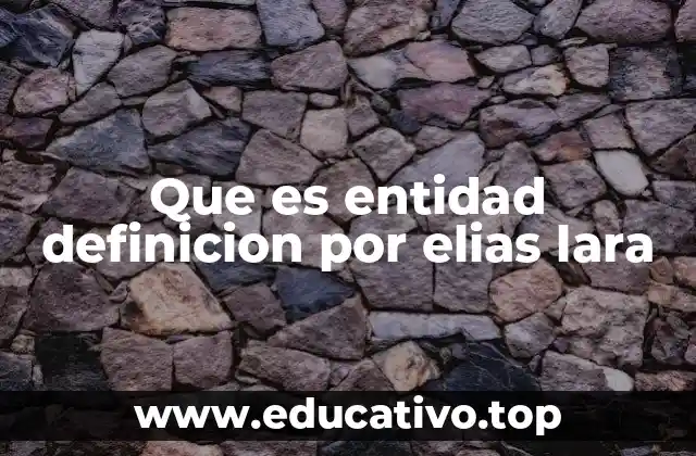 Que es entidad definicion por elias lara