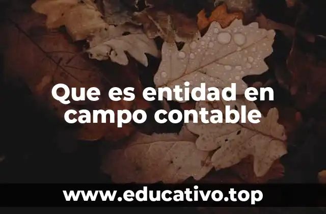 Que es entidad en campo contable