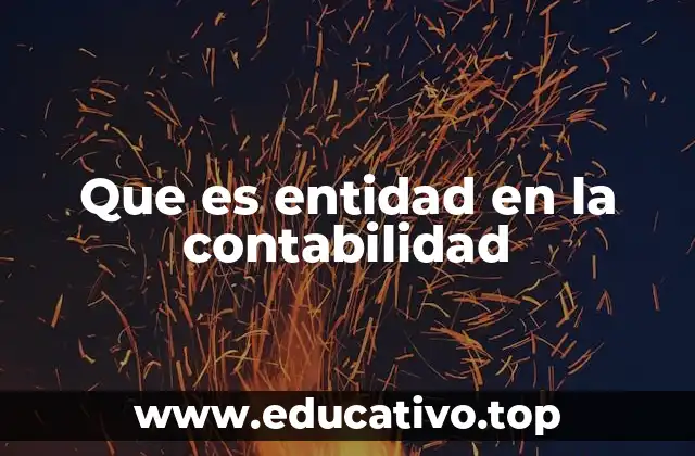 Que es entidad en la contabilidad