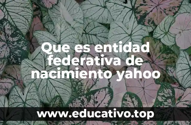 Que es entidad federativa de nacimiento yahoo