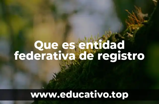 Que es entidad federativa de registro