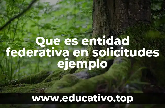 Que es entidad federativa en solicitudes ejemplo