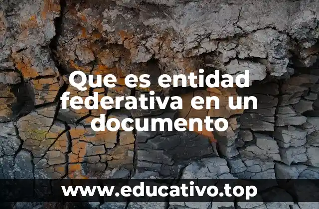 Que es entidad federativa en un documento