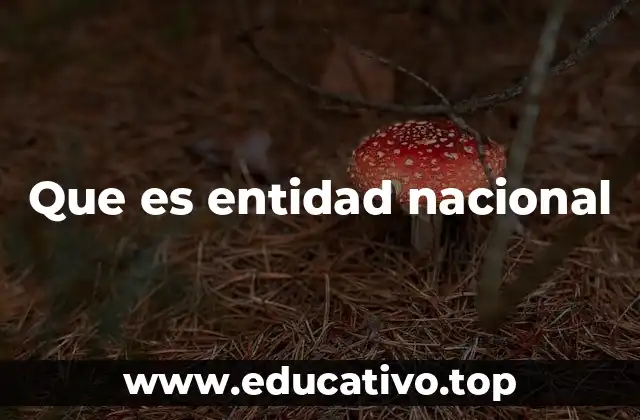 Que es entidad nacional