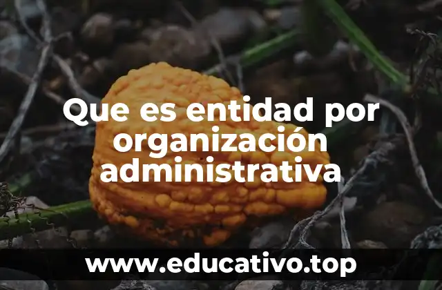Que es entidad por organización administrativa