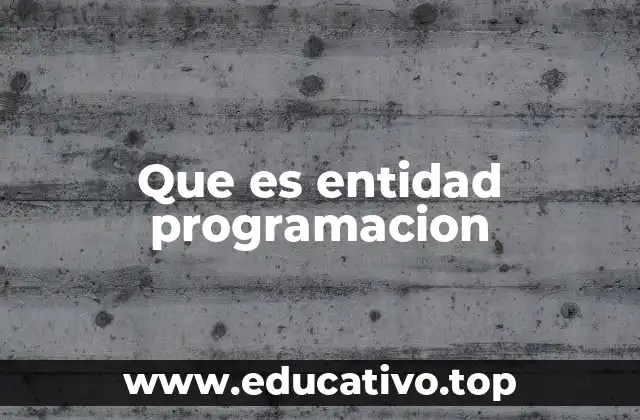Que es entidad programacion