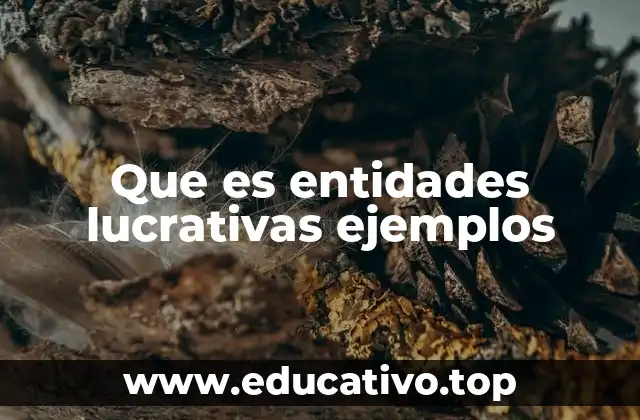Que es entidades lucrativas ejemplos