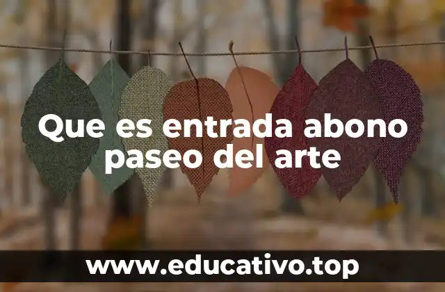 Que es entrada abono paseo del arte